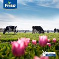 thumbnail image 3 of Frisolac Gold Comfort Multio Pack 1.2 Kg, 3 of 7