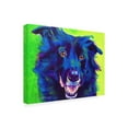thumbnail image 2 of Trademark Fine Art 'Border Collie Viktor' Canvas Art by DawgArt, 2 of 3