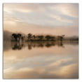 thumbnail image 3 of 14" x 14" Dawn Mist on the Amazon by Andy Mumford - Print on Canvas Fabric Pink, 3 of 3