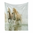 thumbnail image 1 of Horses Soft Flannel Fleece Throw Blanket, Camargue Horses in Water Oldest Breed Southern France Origin Photo, Cozy Plush for Indoor and Outdoor Use, 60" x 80", White Beige, by Ambesonne, 1 of 6