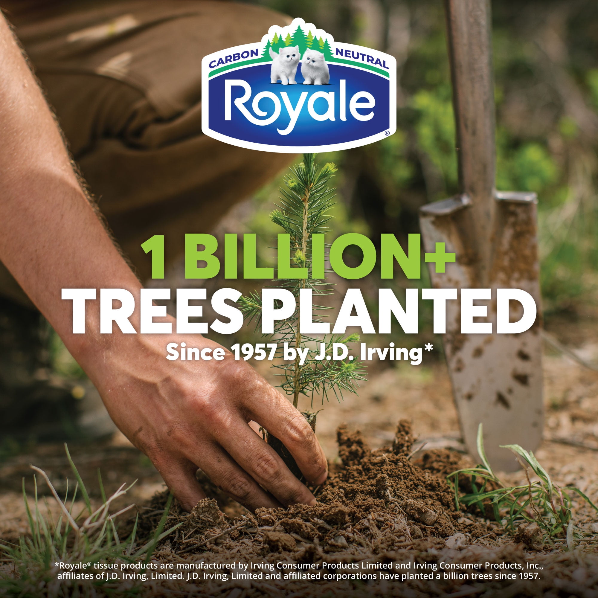 Royale Original, 2 Ply Facial Tissue, 18 Flat Boxes, 126 Tissues per Box, 2268 tissues per pack