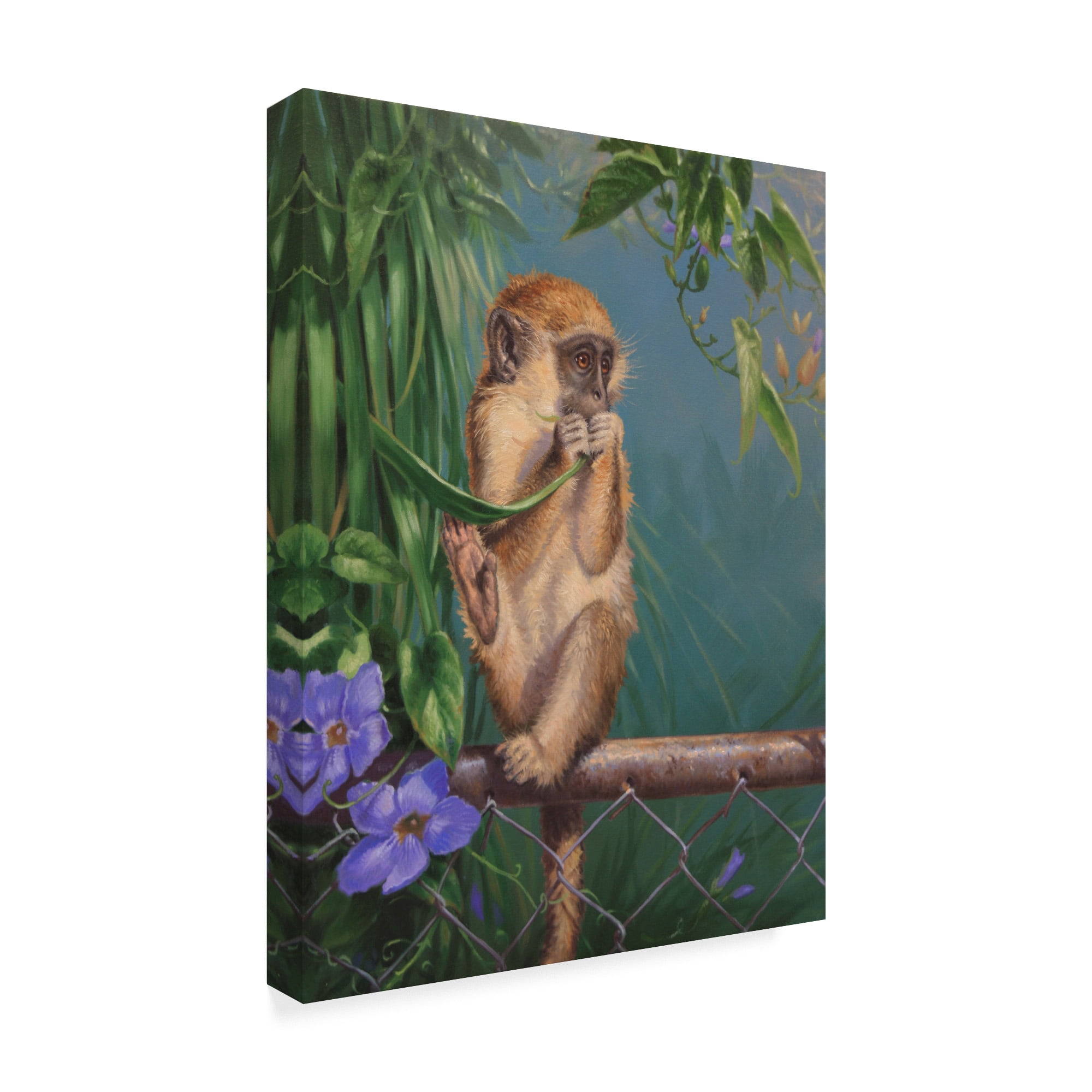 Trademark Fine Art 'Eating A Leaf' Canvas Art by Michael Jackson