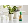 thumbnail image 3 of Miracle-Gro Succulent Plant Food 2-pack, 3 of 7