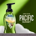 thumbnail image 3 of Softsoap Limited Edition Pacific Sunset Foaming Liquid Hand Soap, Coconut and Lime Scent, 9 fl oz, 3 of 14