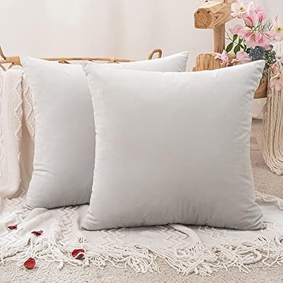 Eryueer Velvet Cushion Covers Throw Pillow Case Soft Modern Decorative Square Pillow Covers for Livingroom Sofa Chair Bedroom with Invisible Zipper 16"x 16" 2 Pieces Greyish White