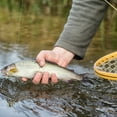 thumbnail image 6 of Landing Fish Net- Fly Fishing Equipment Clear Rubber Mesh and Wooden Handle Angler Tool for Catch and Release by Wakeman Outdoors, 6 of 6