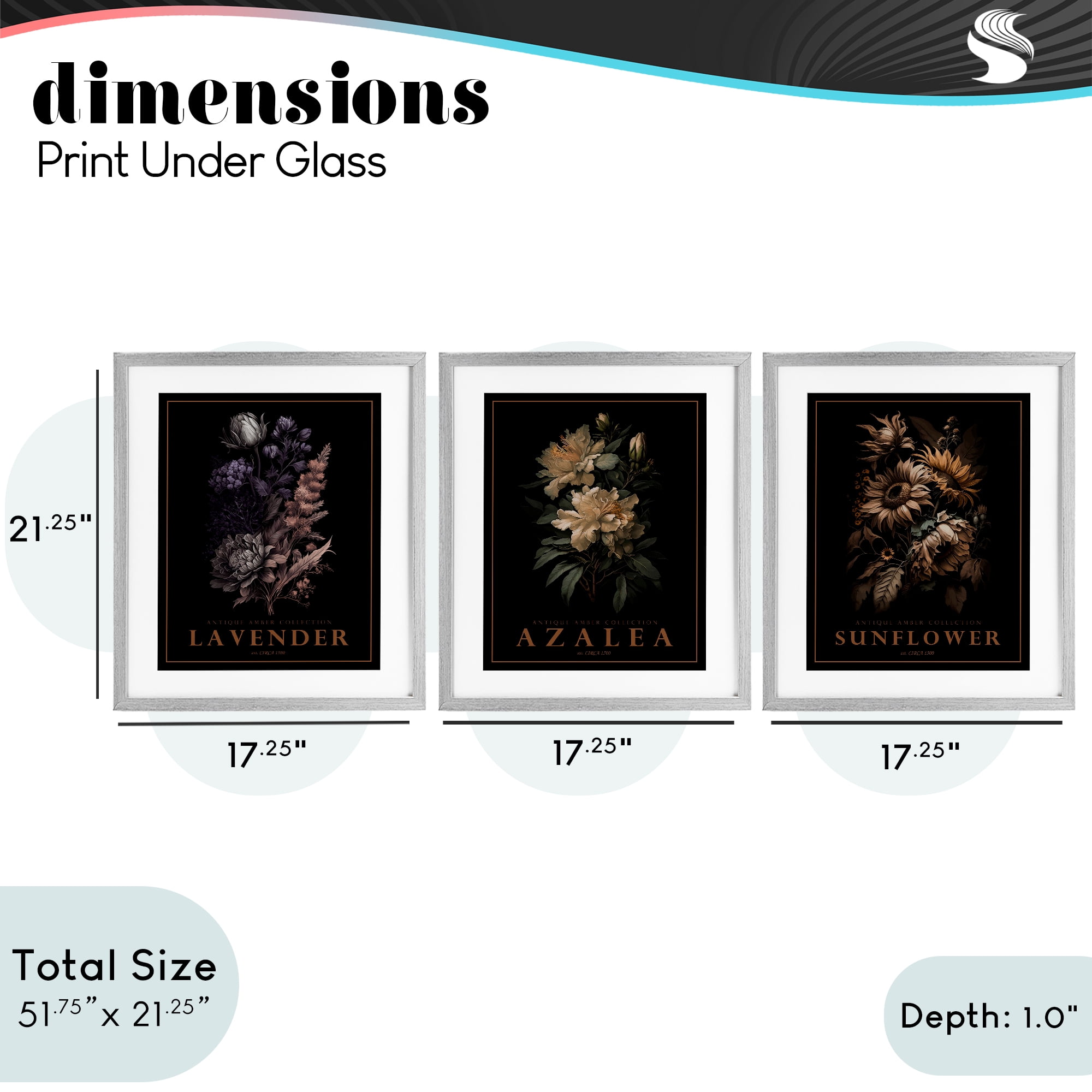 Stupell Industries Antique Botanical Herb Bushels 3 Piece Gray Framed Print Under Glass Set, design by Christopher Giampietro