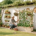 thumbnail image 2 of BAYUELSWU Raised Garden Bed with 2-Sided Trellis & Hanging Roof, Wooden Elevated Planter w/Drainage Holes, Bottom Gaps for Flowers, Herbs, Climbing, Vines (Natural), 2 of 7