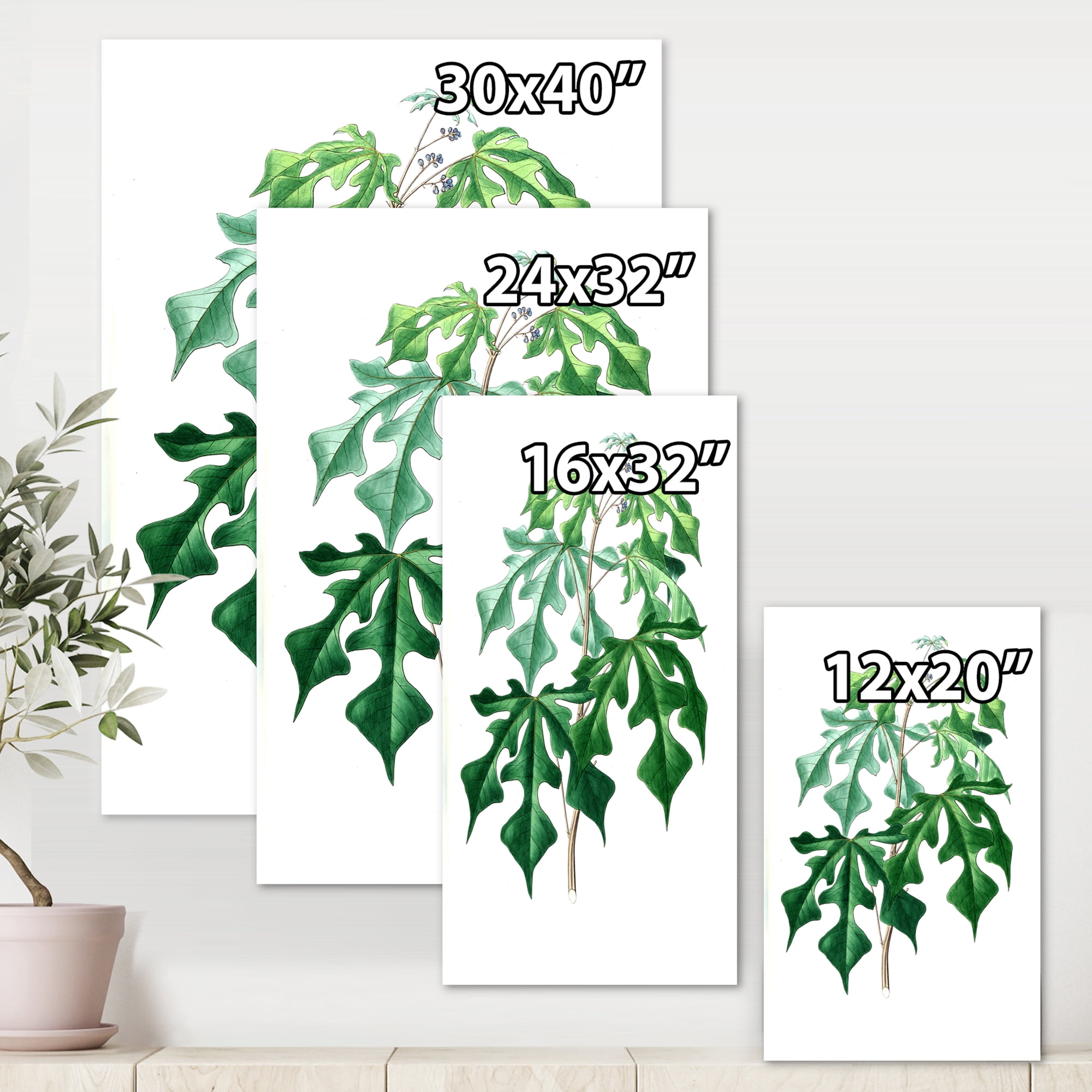 Designart ' Ancient Green Leaves Plants II ' Traditional Canvas Wall Art Print