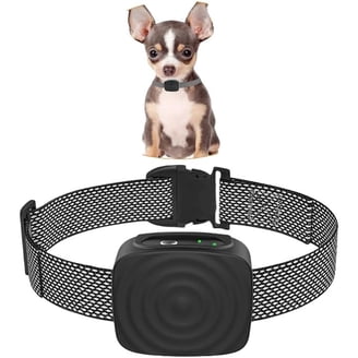 Dog Bark Collars in Dog Training & Obedience - Walmart.com Dog Bark Collars in Dog Training & Obedience - Walmart.com