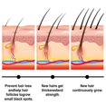 thumbnail image 3 of Jabón capilar Batana Cuidado capilar a base de hierbas Cuidado del cuero cabelludo Fortalece el cabello, previene la caída del cabello, repara los folículos pilosos -8384503359554, 3 of 4