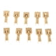 thumbnail image 4 of Base de Negro Socket X2 +10 Terminales- de 5 Pines Adecuado, 4 of 9