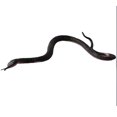 thumbnail image 3 of 5pcs Imitation Rubber Snake Toys Fear False Snake Rubber Snake Trick Toys, 3 of 3