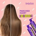 thumbnail image 5 of Sashapure Hydrate Conditioner with Sacha Inchi & Argan Oil, 15 Fl Oz, 5 of 6
