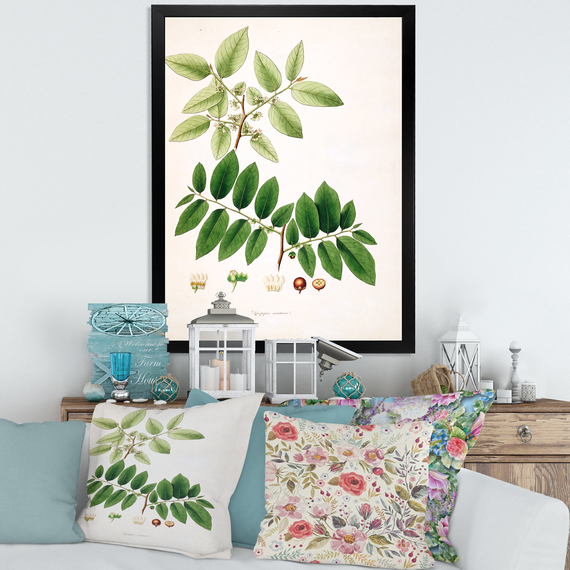 Designart 'Ancient Botanicals XIV' Farmhouse Framed Art Print