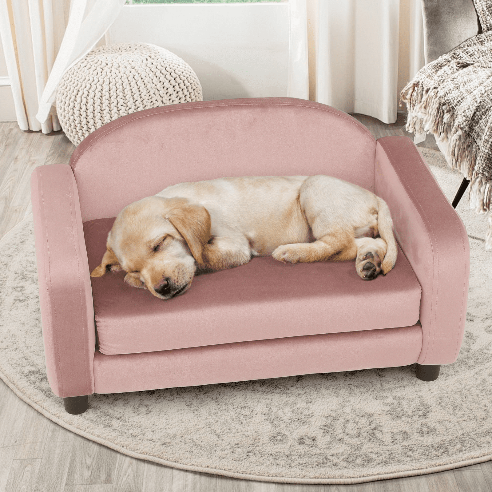 28 Inch Dog Sofa Couch Fo Small Pet, Low Back Moden Velvet
