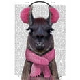 thumbnail image 3 of Fab Funky 20x24 Black Modern Framed Museum Art Print Titled - Chilly Llama, Pink, 3 of 5