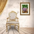thumbnail image 3 of Engelbrecht, Lisa S. 13x18 Gold Ornate Wood Framed with Double Matting Museum Art Print Titled - Ghost plant-succulent, 3 of 4