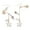 White conch, variant on Trendy Oceanics Inspire Earrings Seashells Designs Drop Ear Hook Accessory for Sensitive Skin Casual to Party Wear