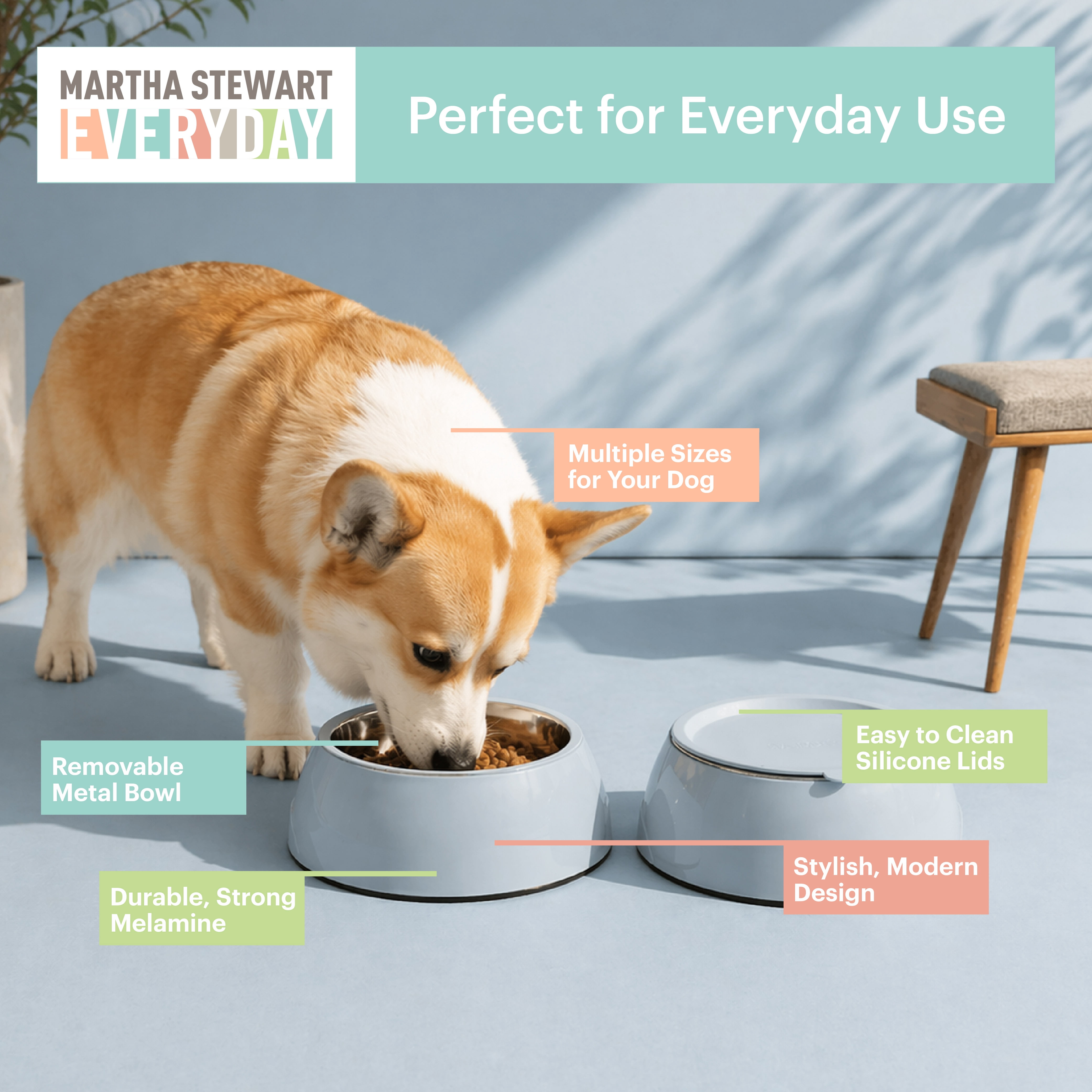 3 in 1 Melamine Dog Bowl Set with Lid Medium Blue Small