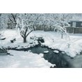 thumbnail image 2 of Aquascape Cold Water Beneficial Bacteria for Pond and Water Features, 32-Ounce, 98894, 2 of 4
