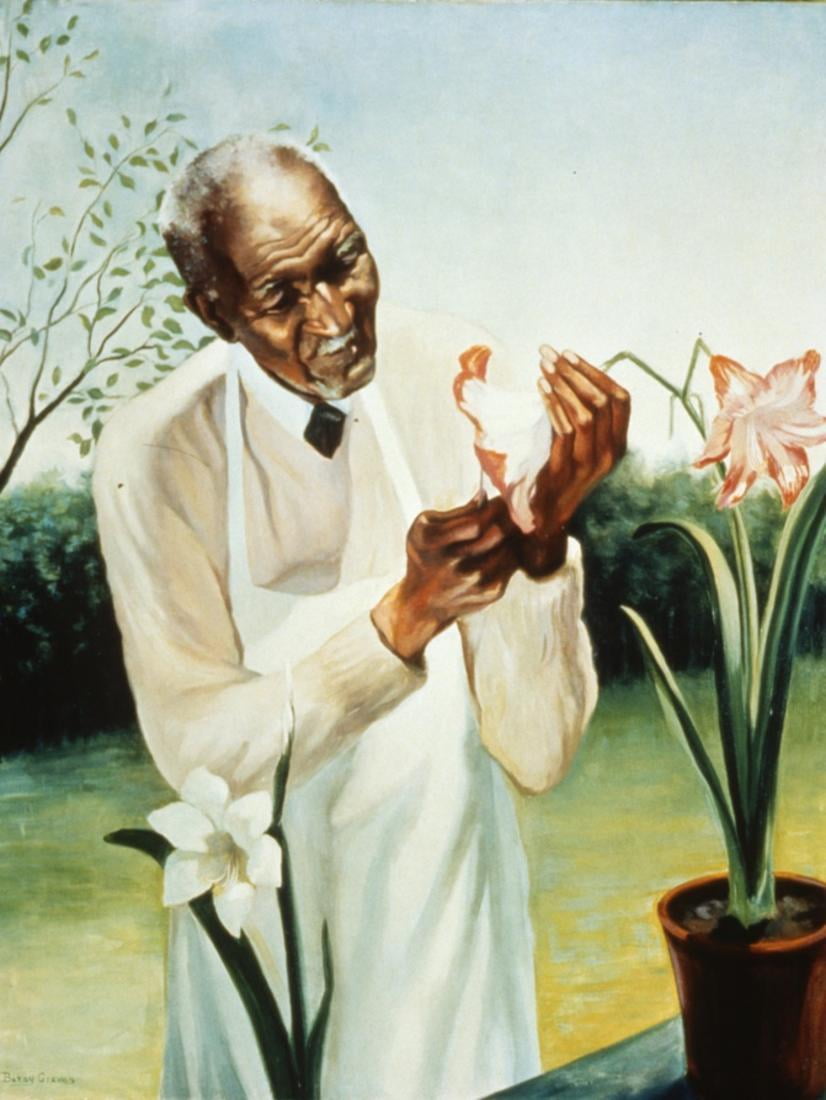 George Washington Carver Print Wall Art Walmart Com George Washington Carver Print Wall Art Walmart Com