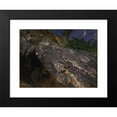 thumbnail image 2 of Bruno Liljefors 18x15 Black Modern Framed Museum Art Print Titled - Fox Cubs (1901), 2 of 5