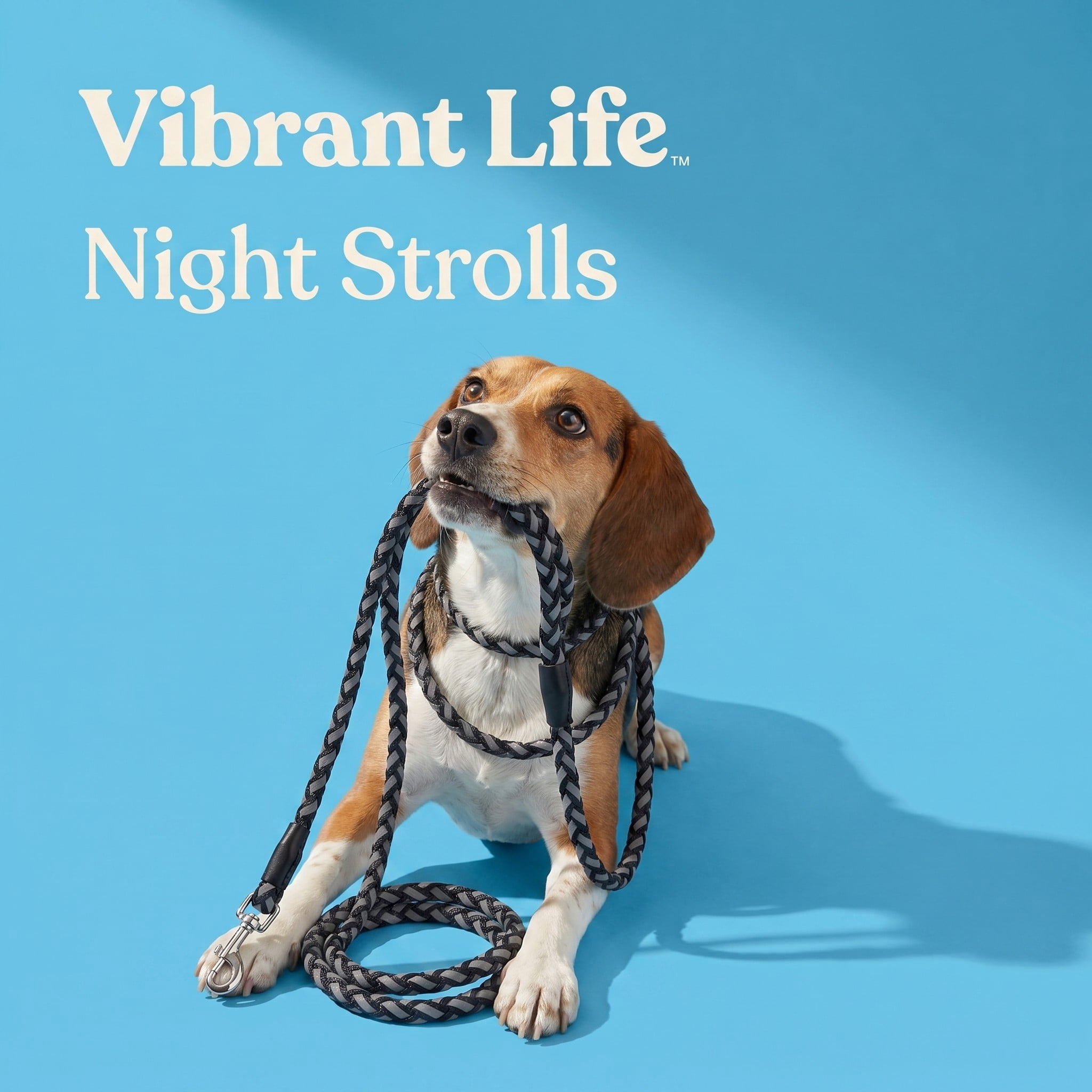 Vibrant Life 5 ft Reflective Rope Dog Leash, Black