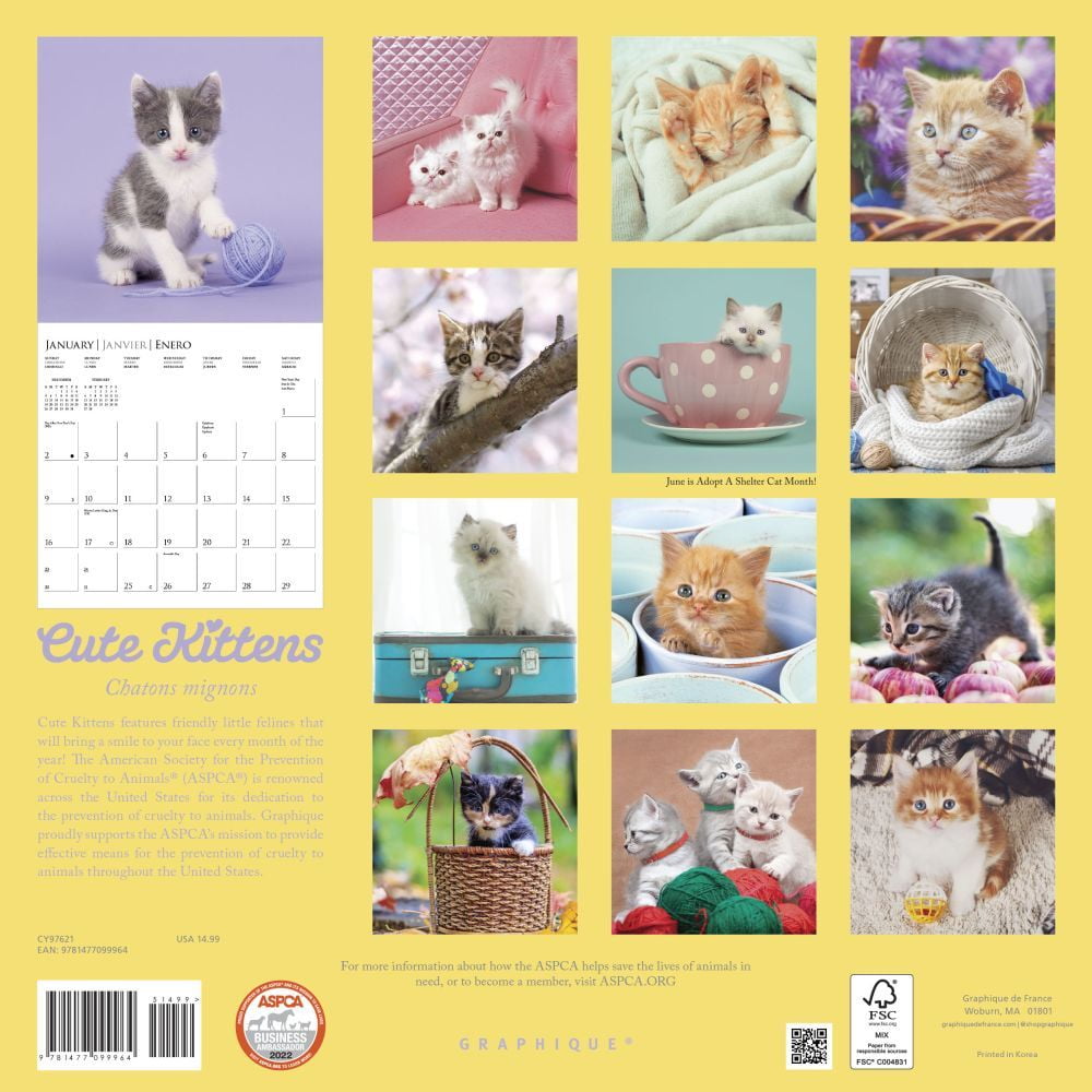 Cute Kittens Aspca 2022 Wall Calendar - Walmart.com