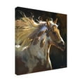 thumbnail image 3 of Trademark Fine Art Carolyne Hawley Spirit Horse Canvas Wall Art - 35x35, 3 of 5