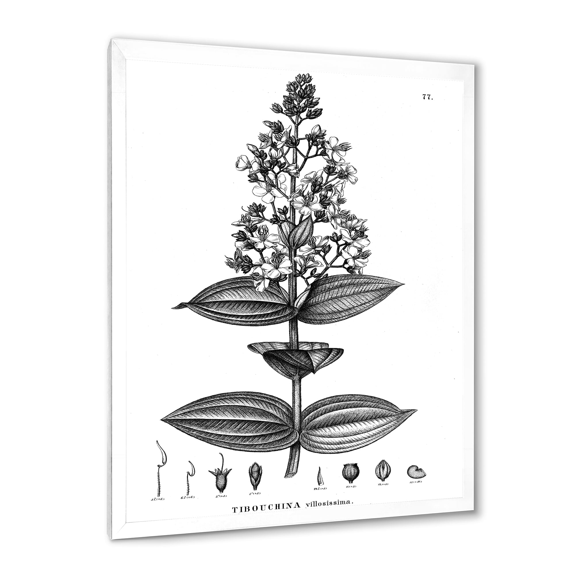 Designart 'Ancient American Flora VI' Traditional Framed Art Print