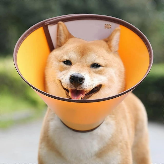 Collar de recuperación ajustable y cómodo para perros, collar protector postoperatorio, collares de plástico con borde seguro para perros y gatos (A5-O)