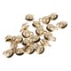 thumbnail image 4 of Campanas pequeñas Zulema 20 Piezas de latón colgantes para mascotas 1.1 cm, 4 of 8