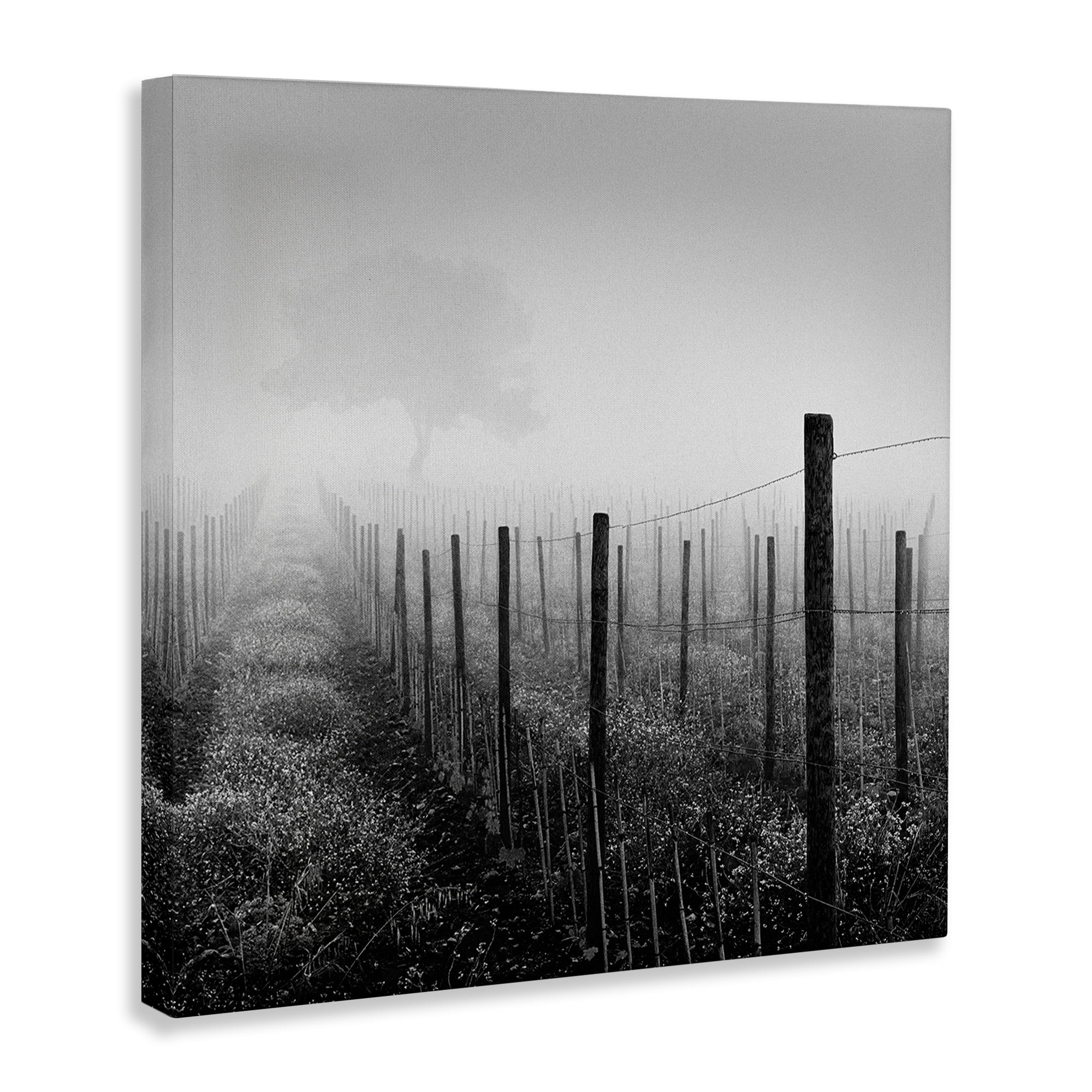 Stupell Industries Vineyard at Dawn Landscape & Nature Photography Wrapped Canvas Art Print Wall Art, 17 x 17