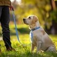 thumbnail image 6 of MASBRILL Dog Collar And Leash Set,Reflective Dog Collar With Dog Tag ,Soft Neoprene Padded Breathable ,Odour Resistant And Fast Drying Dog Leash+Dog Collar,Blue-L, 6 of 7