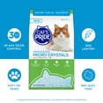 thumbnail image 3 of Cat's Pride Unscented Micro Crystal Cat Litter 6.5lb Bag, 3 of 9