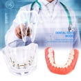 thumbnail image 2 of Modelo de sobredentadura, modelo de estudio de dientes dentales, modelo de estudio de dientes dentales, modelo de estudio dental confiable y duradero, 2 of 8
