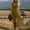 A_ Army Green, variant on Ygbgbb Women's Sleeveless V-Neck Dress with Irregular Ruffle Hem, Elegant Casual Summer Mini Dress Green S