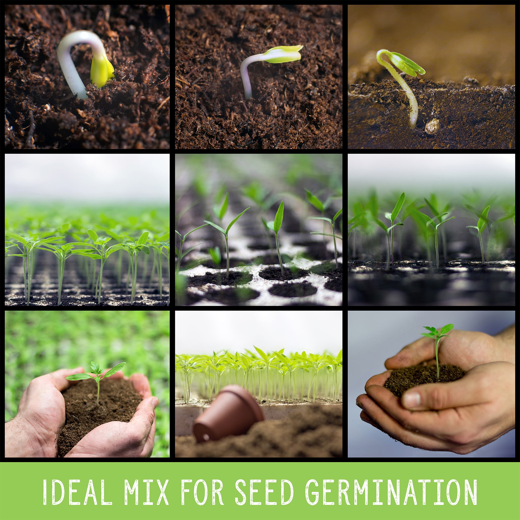 All Natural Seed Starting Mix (8 Quarts), Expert Grade Seed Starter Potting Mix, Start Herbs, Vegetables, and other Grass