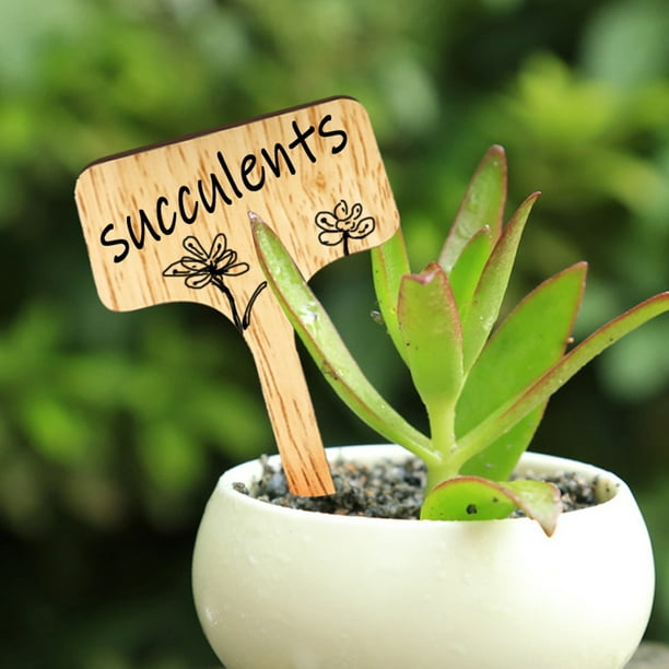 Cheers US Bamboo Plant Labels EcoFriendly TType Wooden Plant Sign