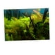 thumbnail image 5 of Fondo de acuario Impresión 3D Gloria Etiqueta de un lado Hierba 122x46cm Vinilo decorativo pecera, 5 of 9