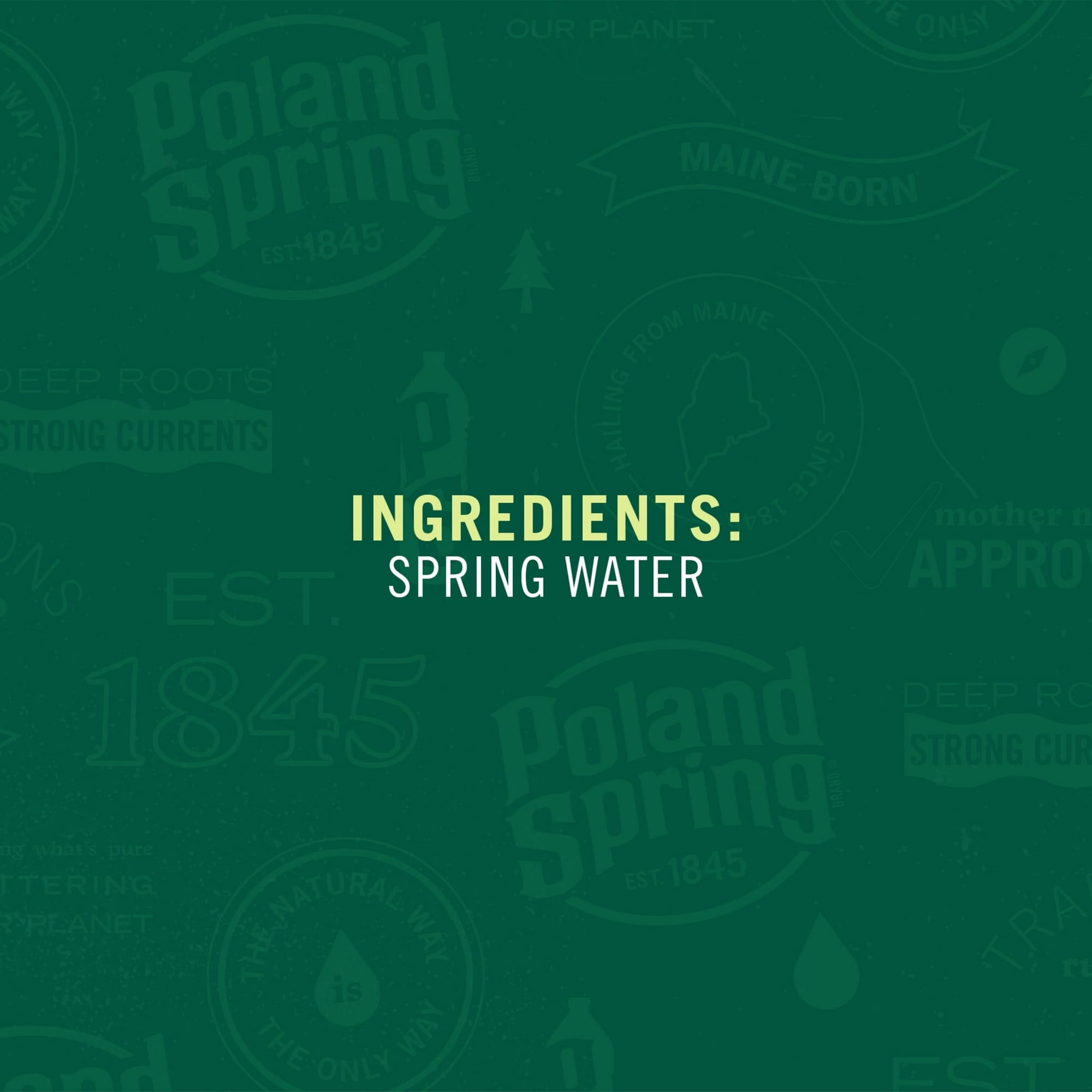 Poland Spring 100% Natural Spring Water, 23.7 fl oz Bottles (24 Count)