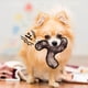 thumbnail image 2 of Juguetes De Lona Para Mascotas Perros Juguetes Para Morder Y Dentición Juguetes Vocales Simulación Pizza Filete Hamburguesa 4 Formas Divertidos Interesantes, 2 of 2