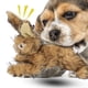 thumbnail image 4 of Juguete de Conejo para perros ANGGREK Juguete de Felpa masticable, 4 of 8