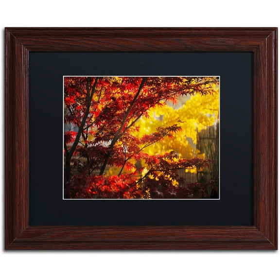 Trademark Fine Art "Transits" Canvas Art by Philippe Sainte-Laudy Black Matte, Wood Frame
