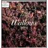 Wallows - Spring - Vinyl
