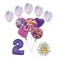 Skye and Everest 2nd Birthday Party Supplies and Balloon Bouquet Decorations