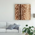 thumbnail image 3 of Trademark Fine Art 'Sweet Fawn I' Canvas Art by Janelle Penner, 3 of 4