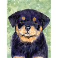 thumbnail image 1 of Carolines Treasures SS8929GF 11 x 15 In. Rottweiler Flag- Garden Size, 1 of 3