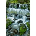 thumbnail image 2 of Jones, Adam 17x24 Gold Ornate Wood Framed with Double Matting Museum Art Print Titled - Cascading water-Fern Spring-Yosemite National Park-California, 2 of 4